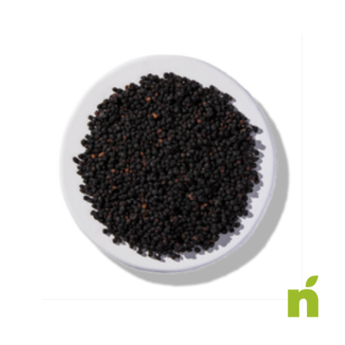 Elderberries Whole Wildcrafted